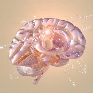 The 3AM Miracle: The Death of Early Wakefulness (2025 Circadian Science)